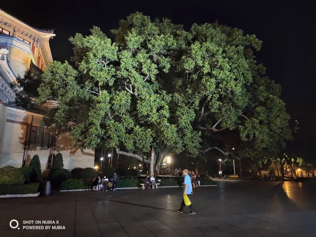 努比亚x是无法超越的经典,努比亚x颜值如何