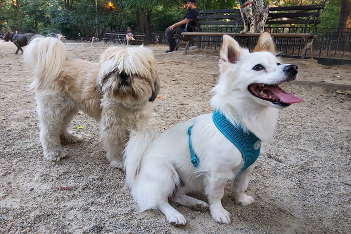 三星galaxytabs6lite2024,三星galaxytabs6怎样