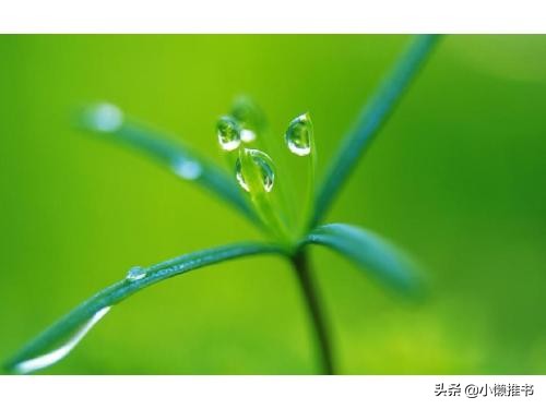 5本质量文笔俱佳的现言推荐，成人童话也很美