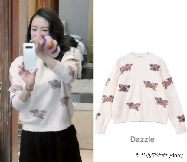 妻子2包文婧袁咏仪,妻旅章子怡汪峰