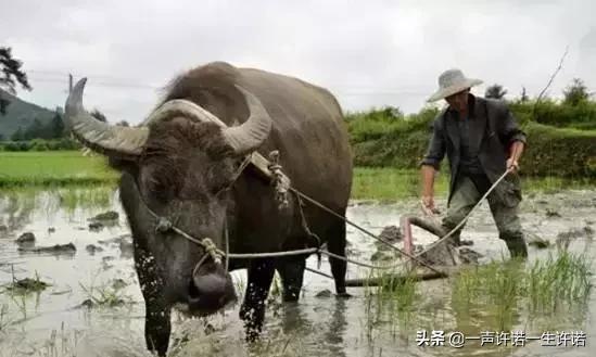 造人全过程，别不好意思看