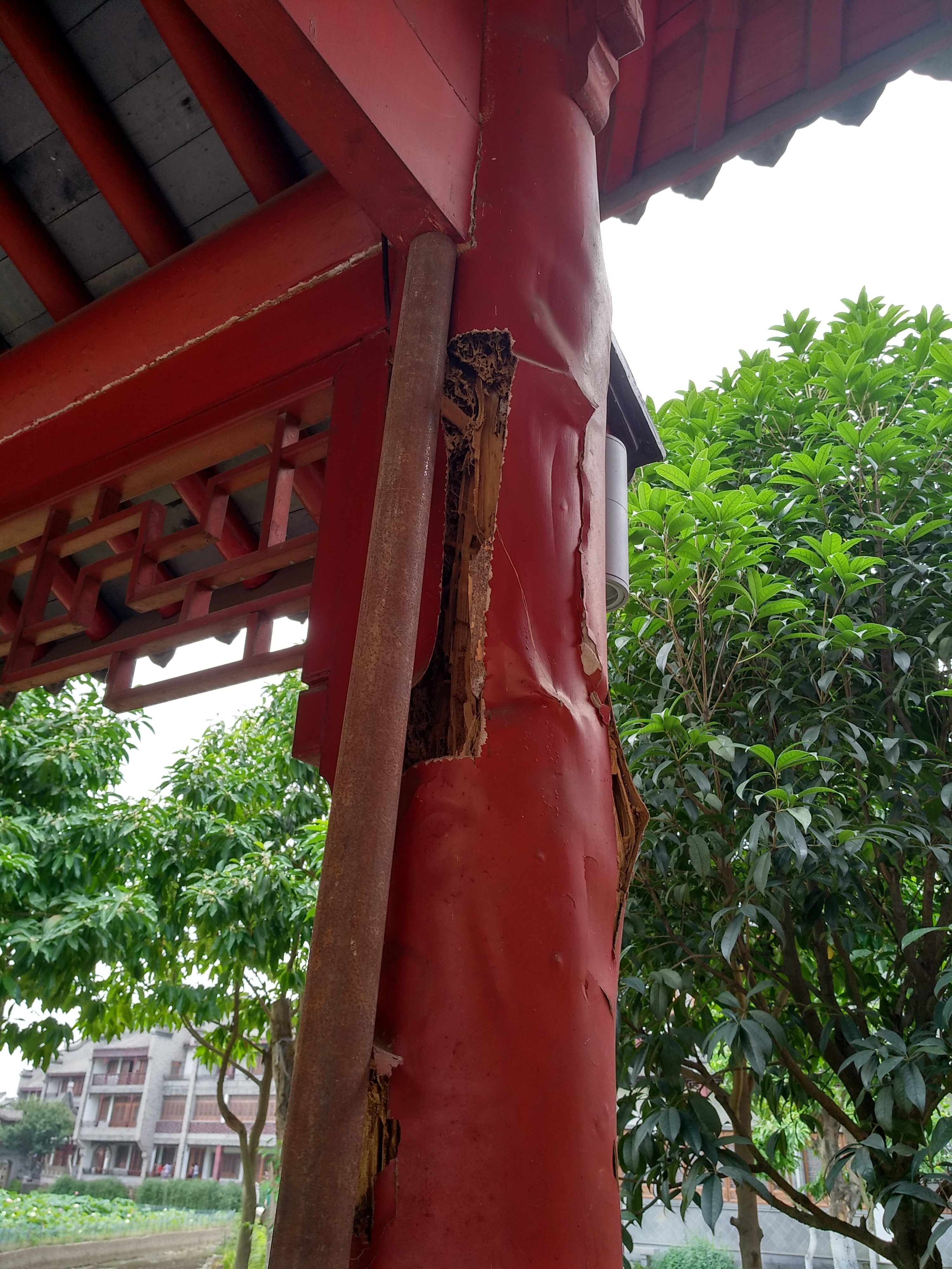 成都龙潭水乡最新消息,成都龙潭水乡别墅区