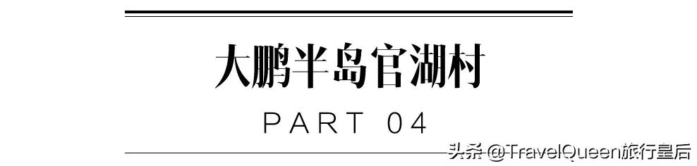 动物森友会无人岛一天可以去几次,动物森友会所有虫类图鉴