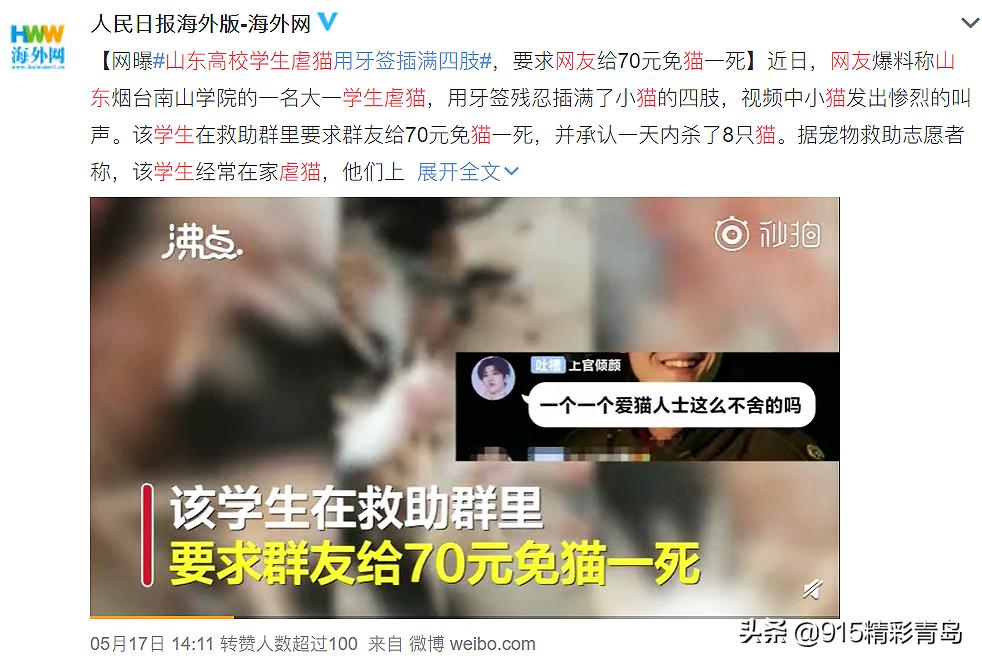 虐猫人士杀死中国留学生案件,虐猫者杀害中国留学生