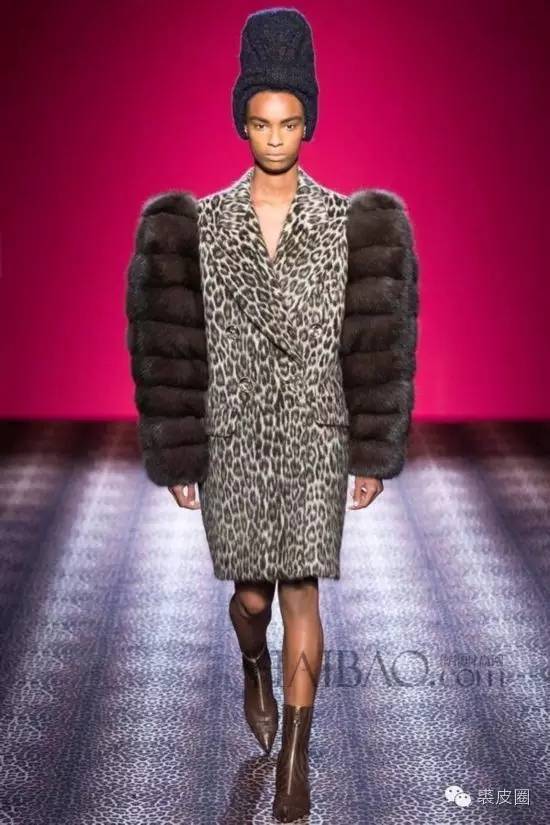 貂中之王紫貂什么颜色,裘中之王是什么意思