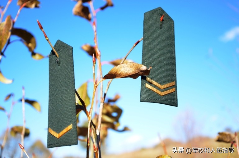 哪种学历参军到部队最合适，高中毕业？大学在校？还是大学毕业？