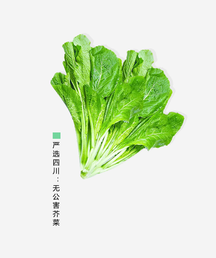 一味酸香，鉴匠心品质！