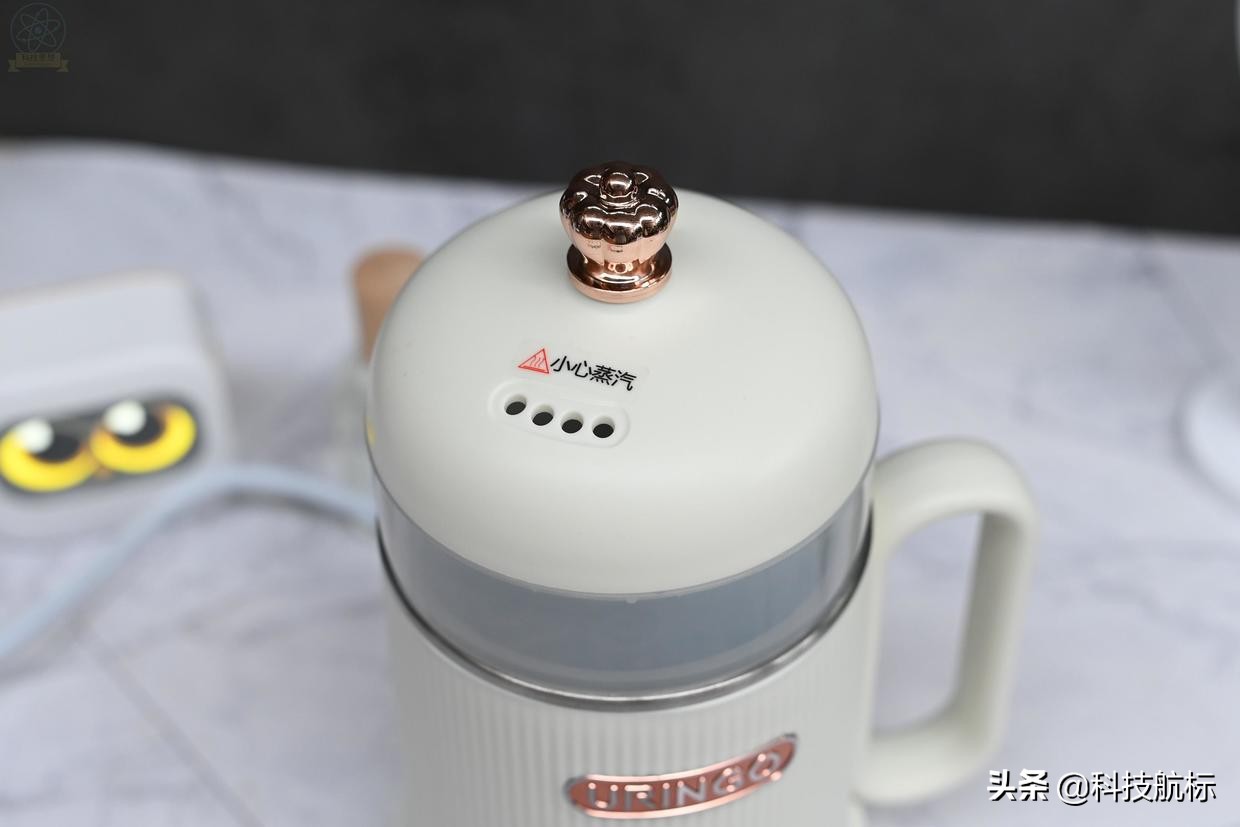 七彩叮当养生壶质量好还是小熊好,七彩叮当养生壶炖煮视频