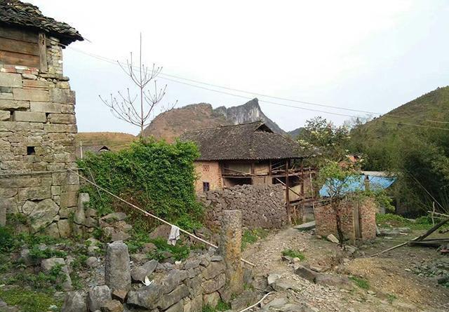 价值80万的古董被人当烟灰缸扔了,老汉捡到一个盆当成烟灰缸三年