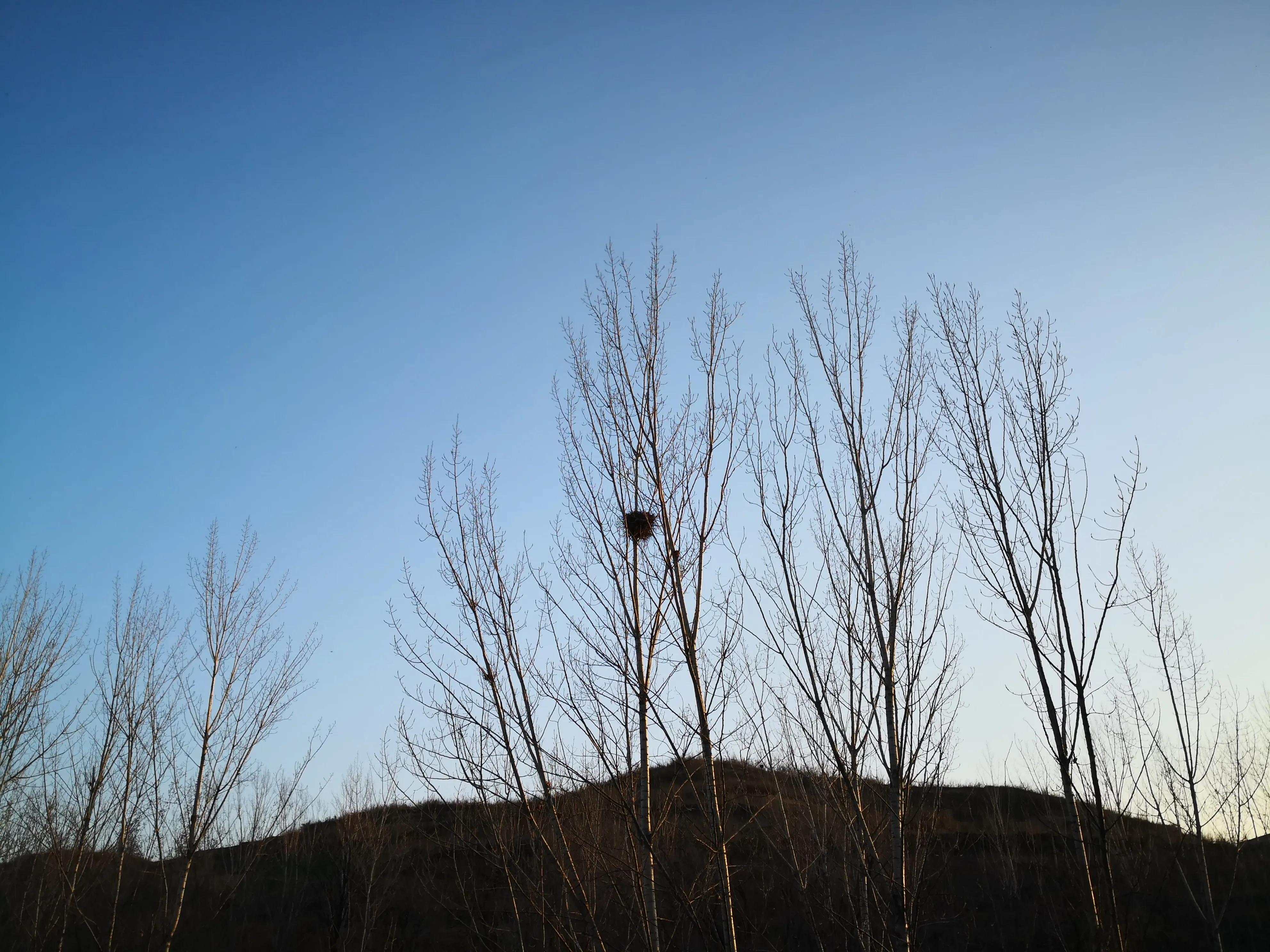 烤馍美食,有味烤馍