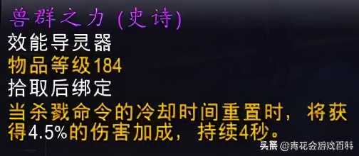 暗影国度兽王猎输出循环,魔兽世界暗影猎人攻略