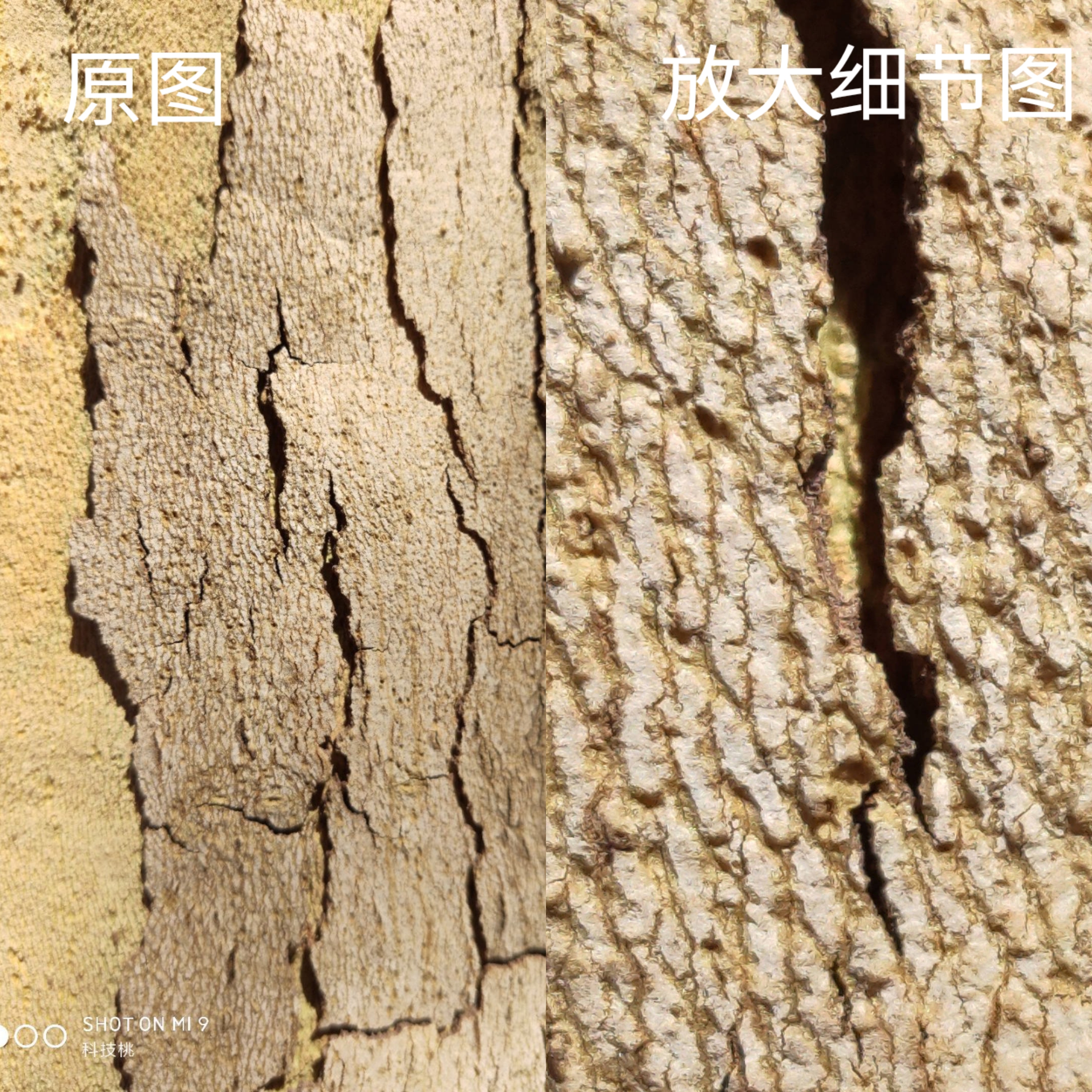 小米9用了四年半了值得换吗,小米9一天可以用多久