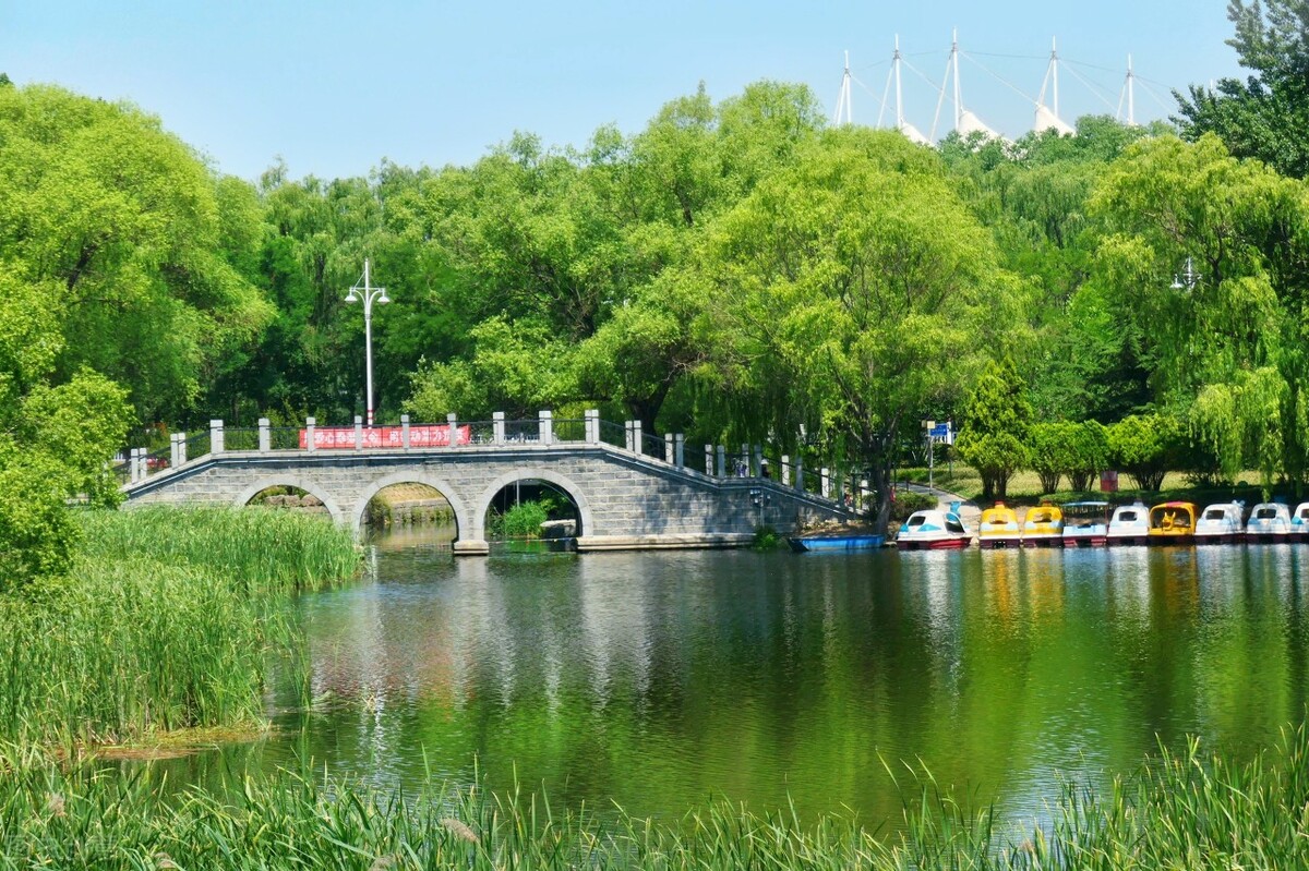 露营地看日出点推荐,藏在深山里的绝美露营点