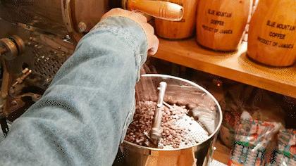 吃在济南｜麋鹿森林,满足你对美味的一切幻想|治愈你的心和胃！