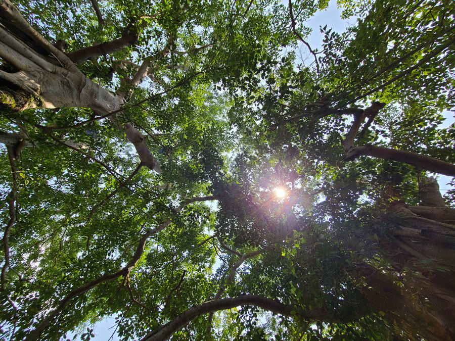 山水×温泉×王宫：广西宁明の两天一夜