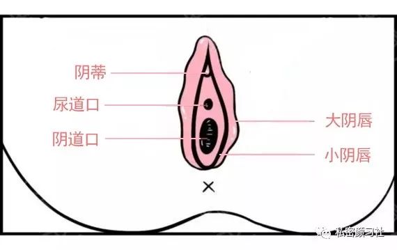 你们都用什么避孕方式,你不知道的避孕方式