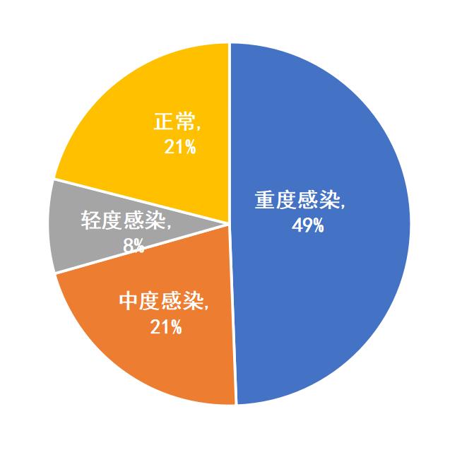 梭菌感染,梭菌感染牛啥症状