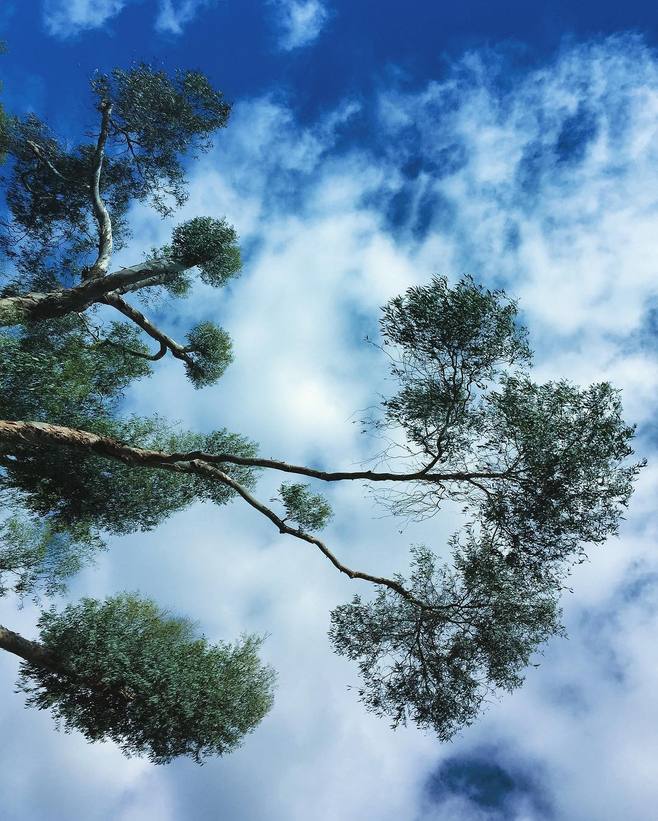 我靠写小说发家致富,我靠写作赚生活费