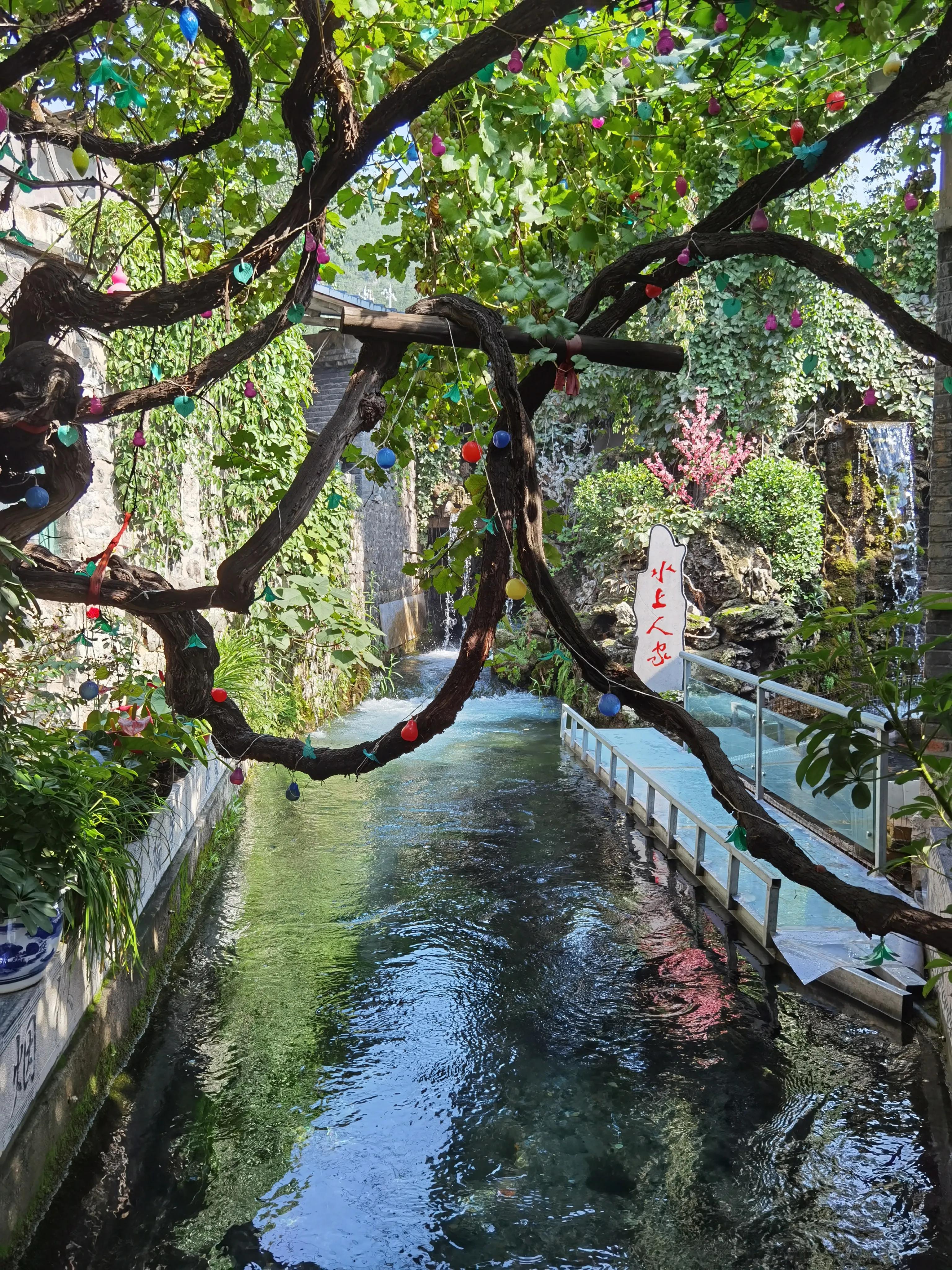 退休的生活丰富多彩幸福快乐,退休生活开启新的快乐生活