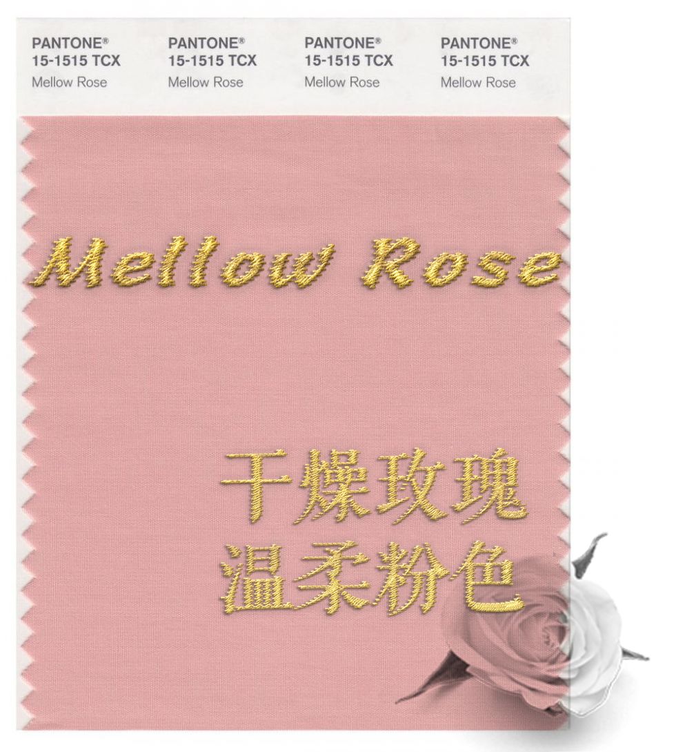 永不过时的绝美神仙口红推荐,推荐一款适合春夏的口红平价