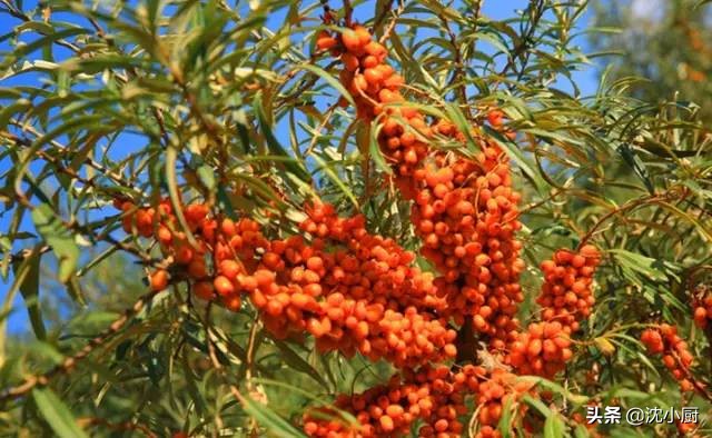 生活在赤峰为啥瘦不下来？这就是变胖的原因，没有之一