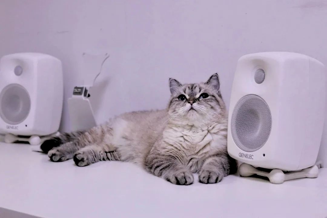 genelec真力怎么样,genelec真力测评