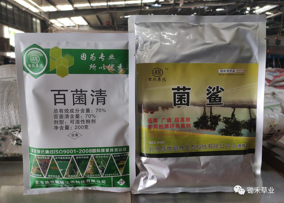 北方苗木草坪应对雨季的养护要点