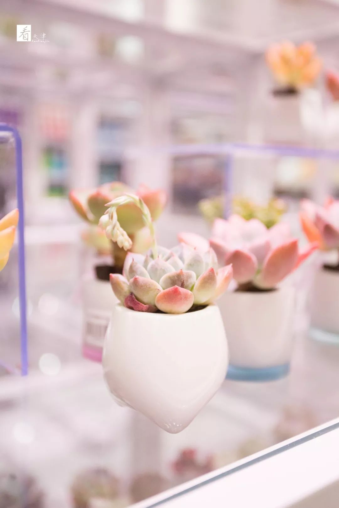 壕占800㎡+的KKV落户天津，「集装箱」式淘货圣地，逛到停不下来