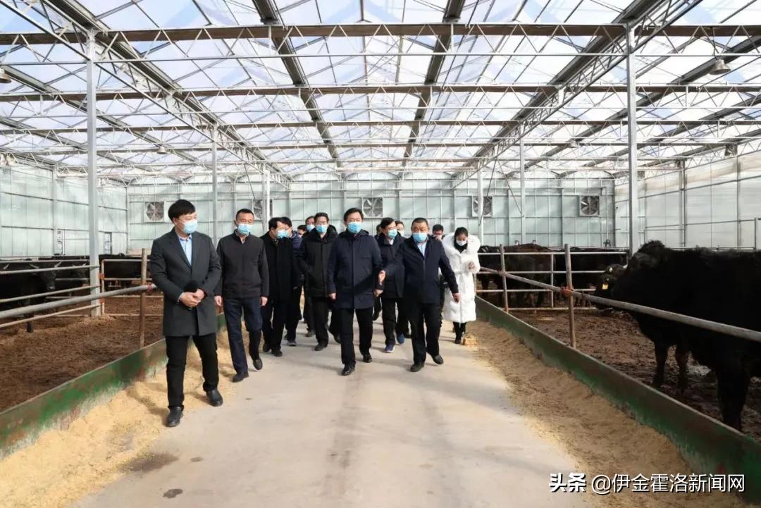 伊金霍洛旗委书记华瑞锋,华瑞锋伊金霍洛旗