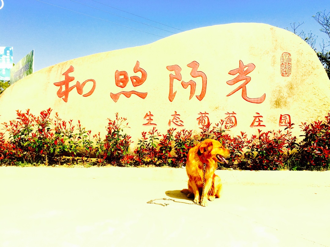 五榖梁品|你好丹阳古镇