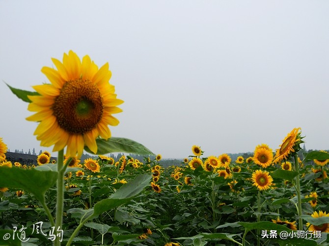 单车骑行无锡,无锡单车骑行路线