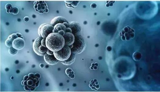 沉默的杀手知乎完整版,沉默的杀手3