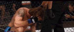 格斗明星的标准动作,格斗如何练抗打能力视频