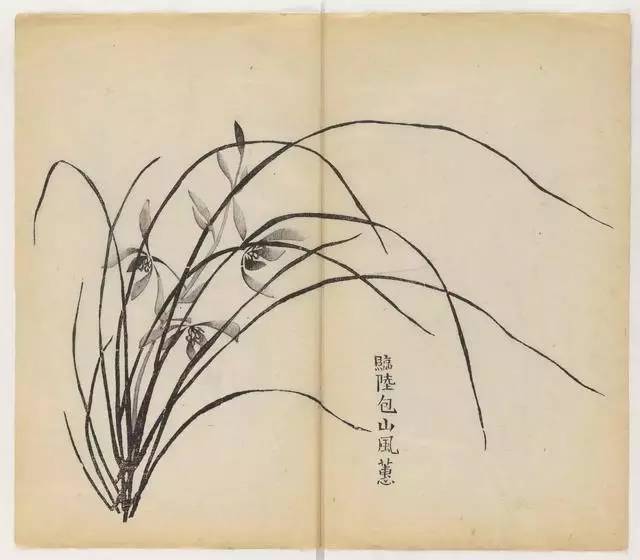 毛笔怎么画兰草,怎么画兰花和书法