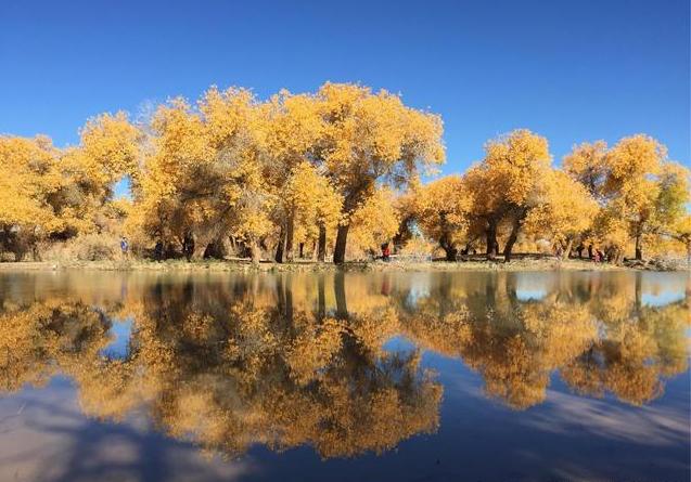 阿拉善盟人口,阿拉善右旗人口为啥那么少