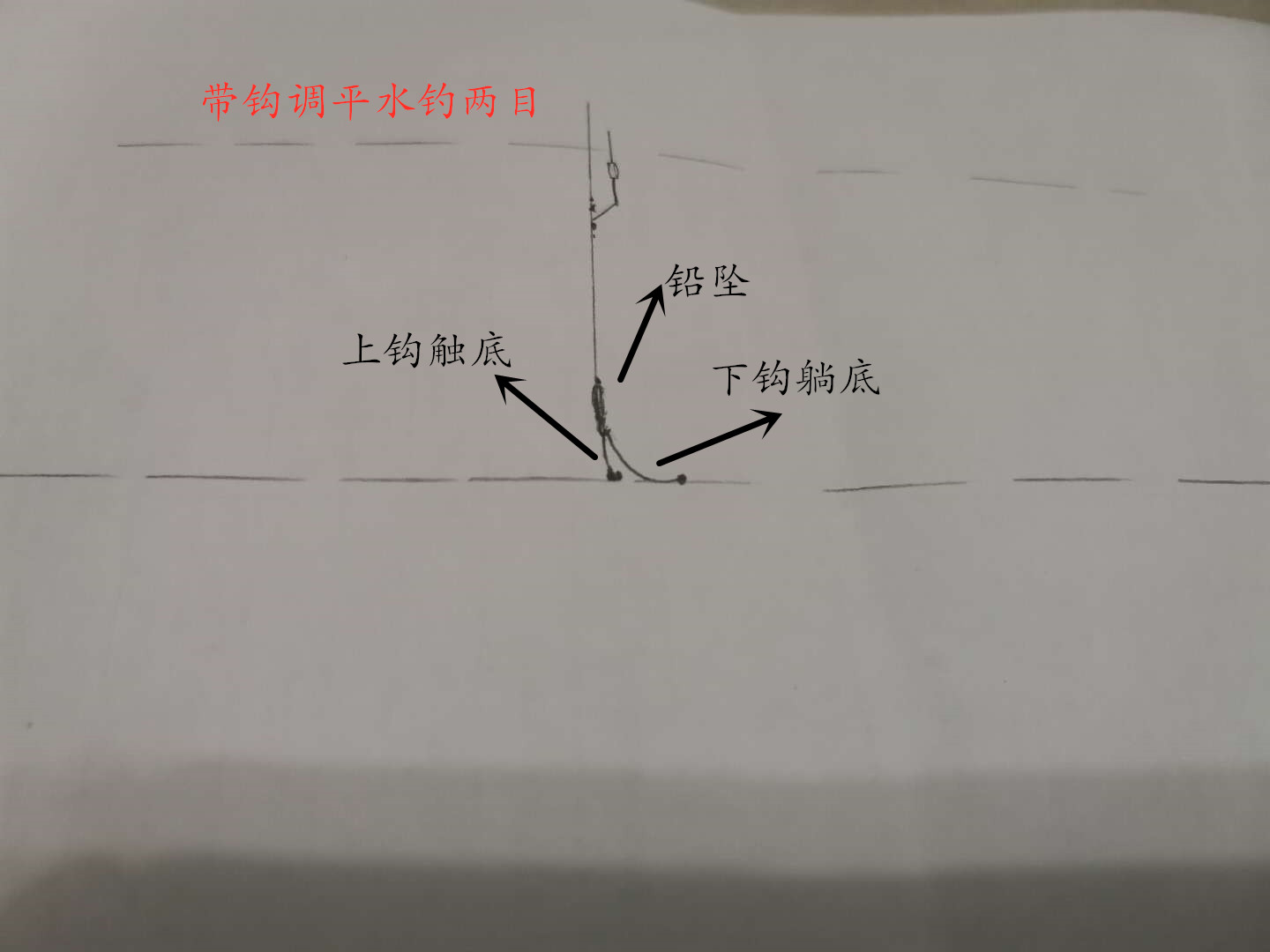 钓鲮鱼调漂最佳的方法,钓鲮鱼怎么调漂和找底