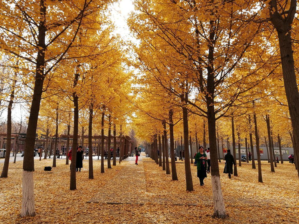 遛娃宝藏公园,北京适合遛娃的冷门景区