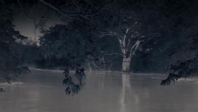 豆瓣netflix电影,bbc地球奇观纪录片