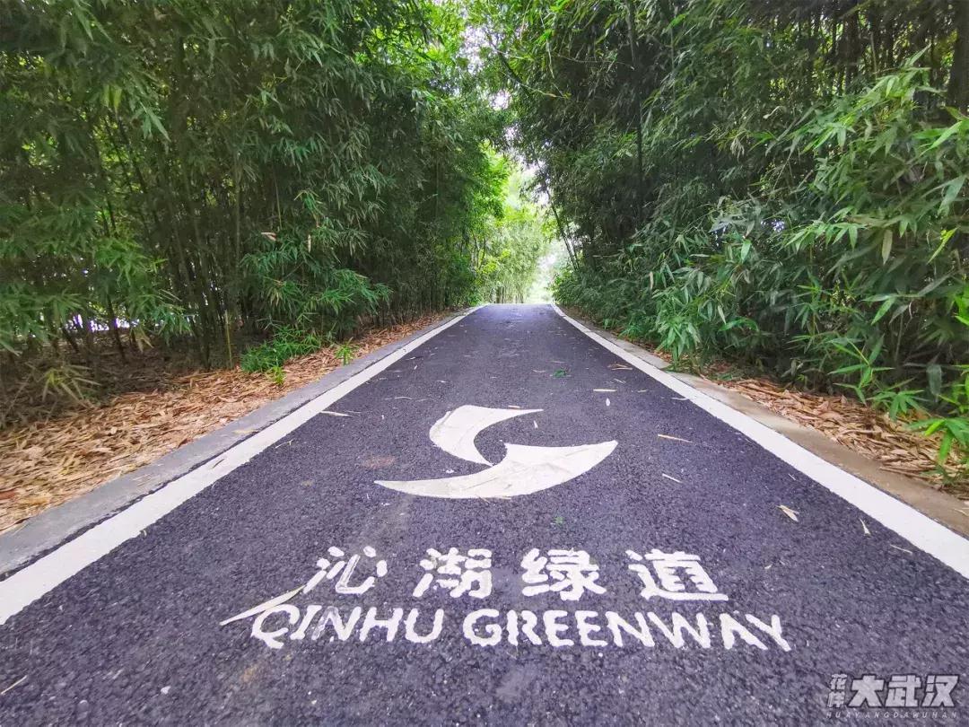 武汉科技大学的机械学院,武汉科技大学医学院和临床学院