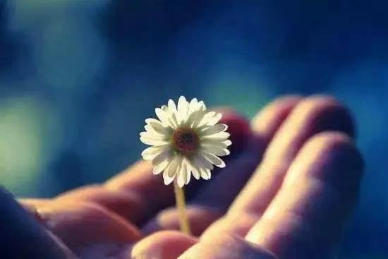 买菜多给钱怎么办,买菜多找回来的钱能留着吗