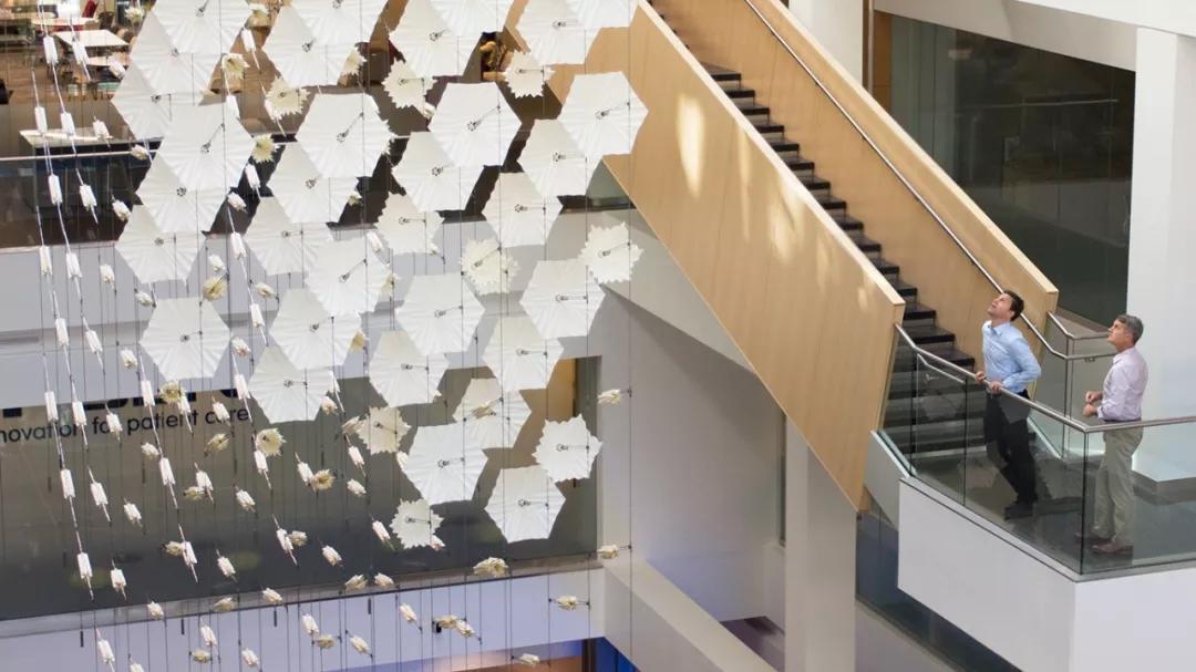 美得足以让人忘记时间流逝,美得让人静止的瞬间