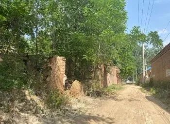 社旗县饶良镇名人,社旗饶良镇名人