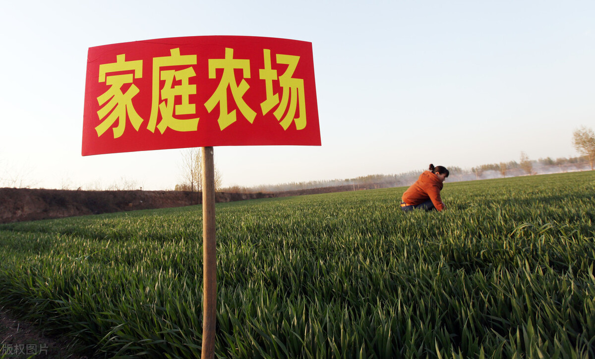 农村办理农场怎样申请,60亩山地果园可以申请家庭农场吗