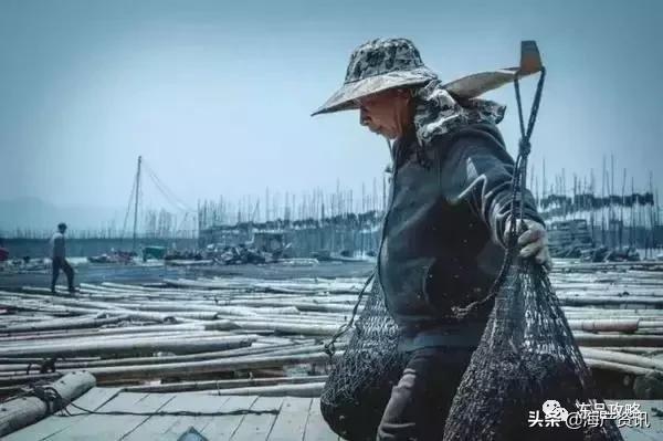 中国的四大渔场及其形成条件,目前中国最大的渔场是什么渔场