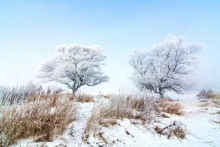 散文北方,北方冬天散文