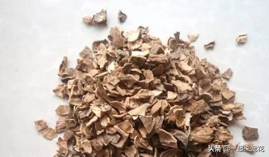 透明壳可以用来养花吗,花生壳当肥料养花可以么