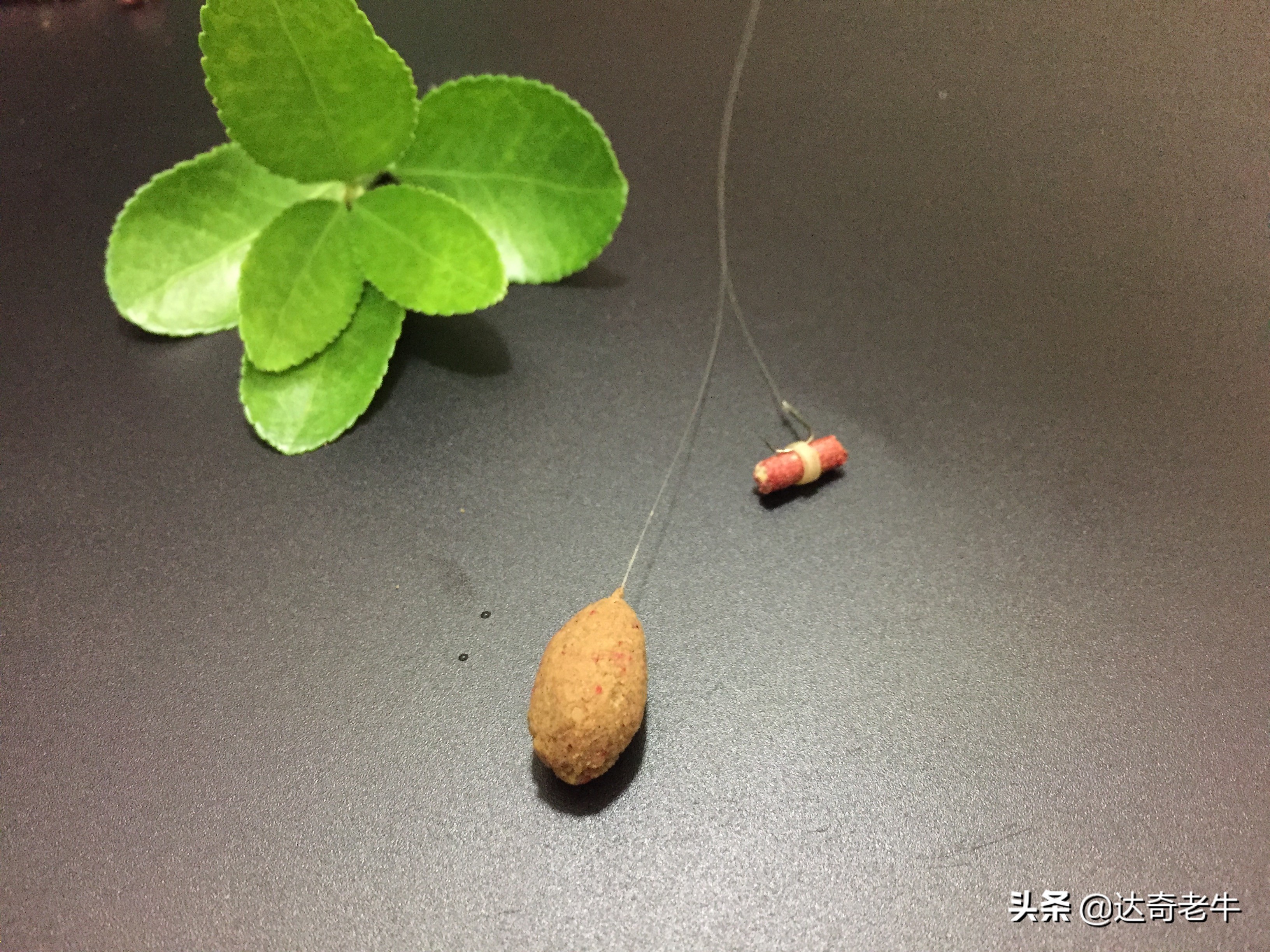 红虫颗粒钓鲤鱼用法,红虫颗粒钓鲫鱼效果怎么样