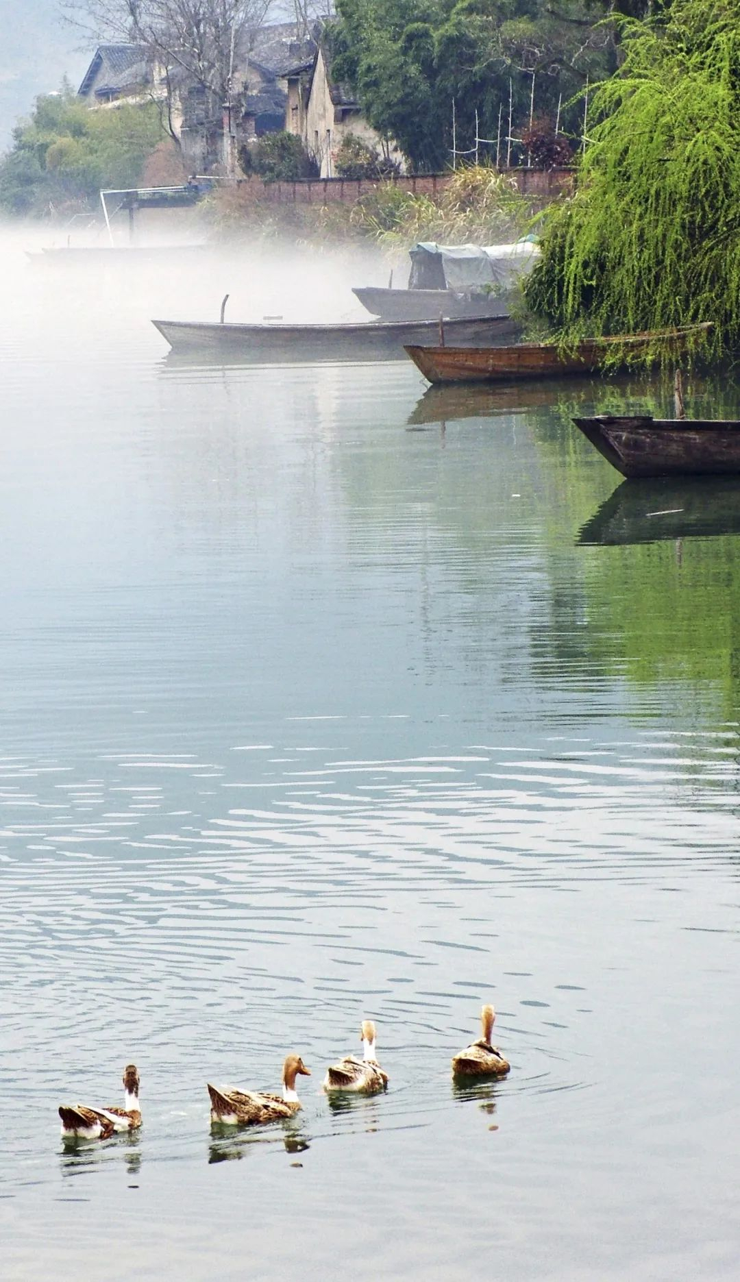 云雾奇观,自然云雾奇观