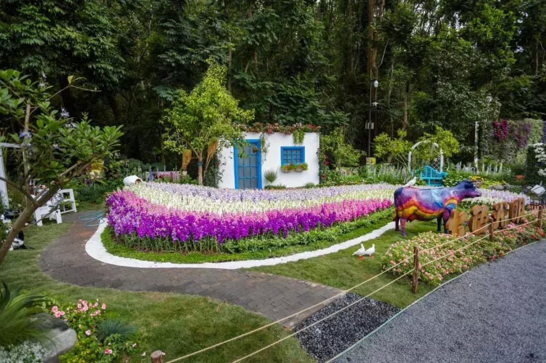 未来10天预警，深圳最最最最火的地方在这里，美女都赶来打卡