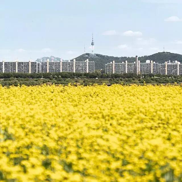 手机修剪照片软件哪个好用,手机修剪照片的软件